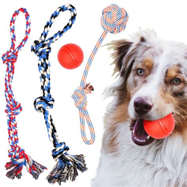 Are rope toys dangerous for dogs