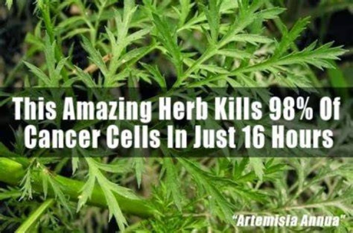 Can Artemisinin kill cancer cells