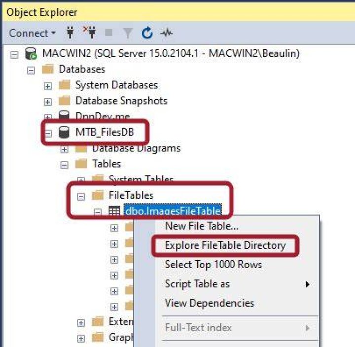 Can we store a file in database