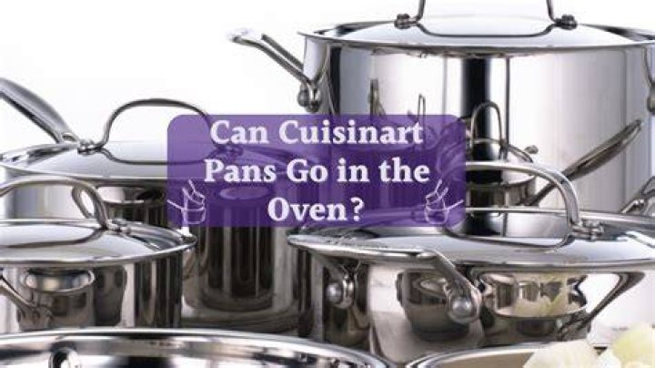 Can Woll pans go in the oven