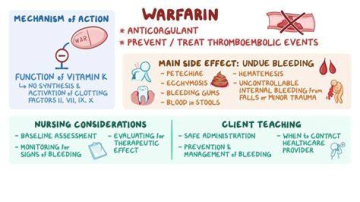 Can you take warfarin while breastfeeding