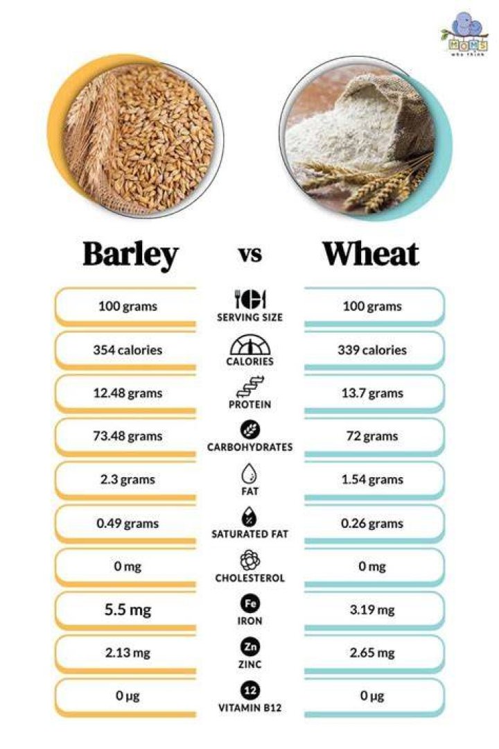 Does barley flour rise