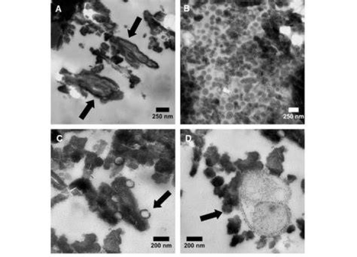 How are sulfide minerals formed