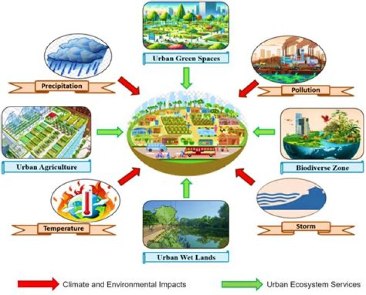 How can urban change affect the environment