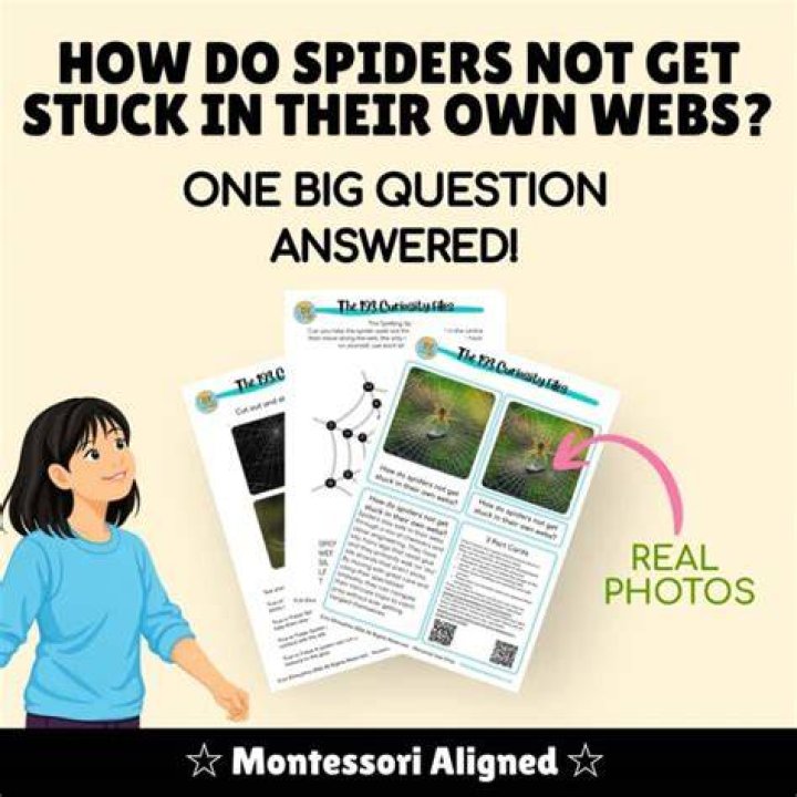 How do spiders not get caught in their web