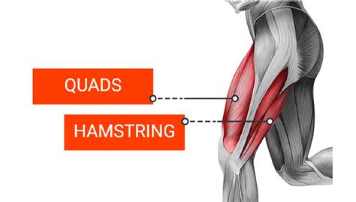 How do you calculate quad to hamstring ratio