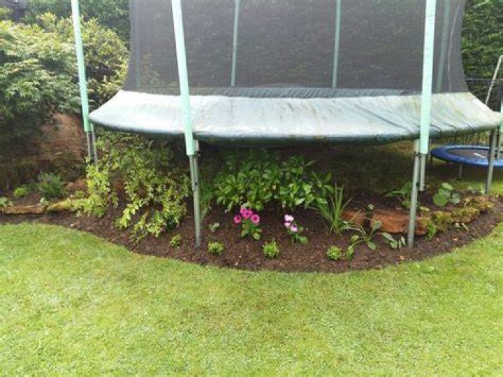 How do you get grass to grow under a trampoline