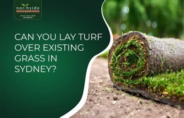 How do you keep new turf from dying