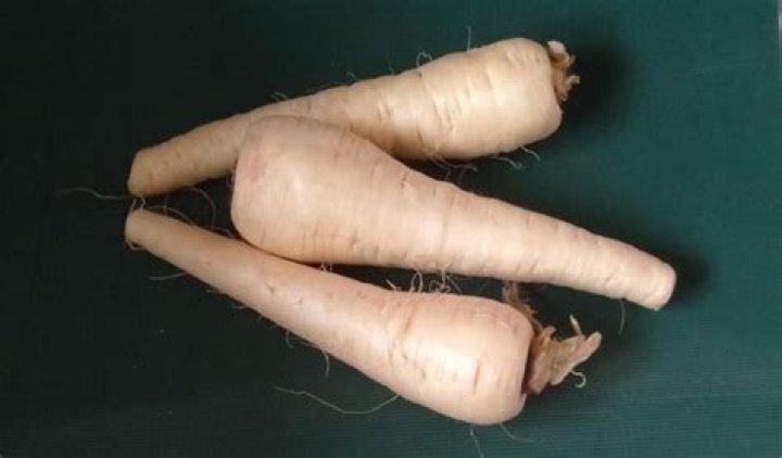 How do you treat cow parsnips