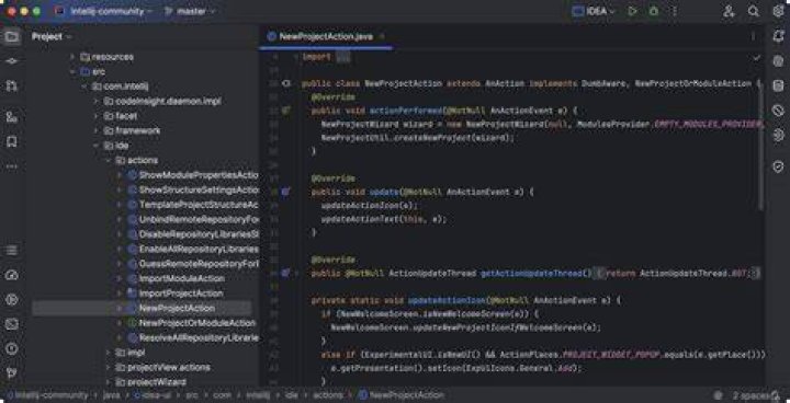 How much does IntelliJ idea cost