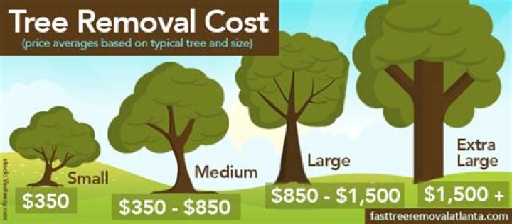 How much does it cost to cut a small tree
