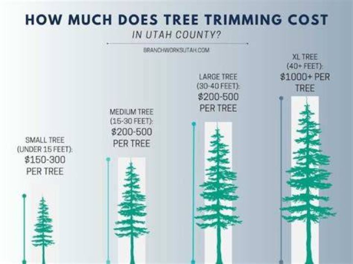 How much does it cost to trim tree branches