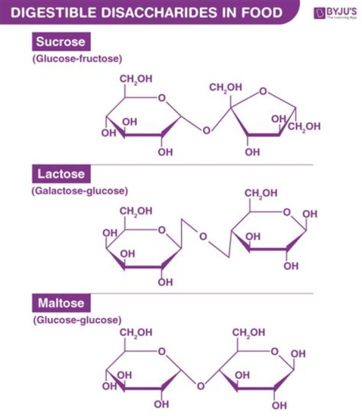 Is disaccharide a simple carbohydrate