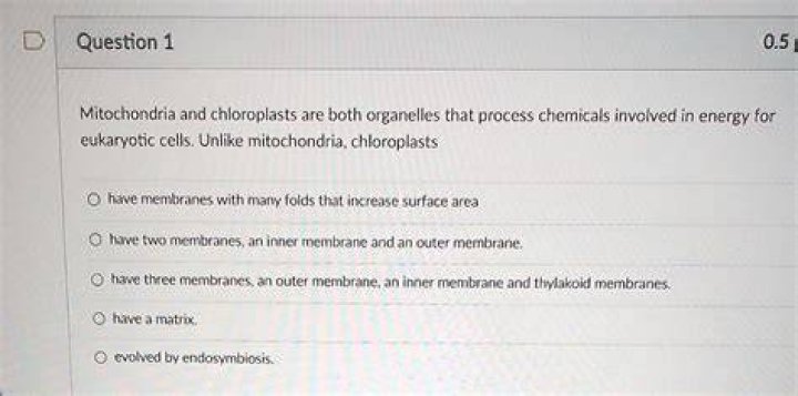 Is it true that both chloroplasts and mitochondria are enclosed by two membranes