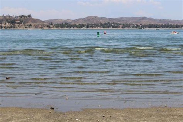 Is Lake Elsinore safe to swim in 2018