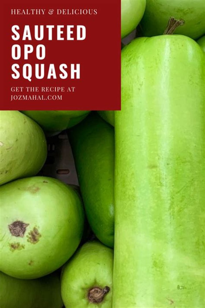Is opo squash healthy