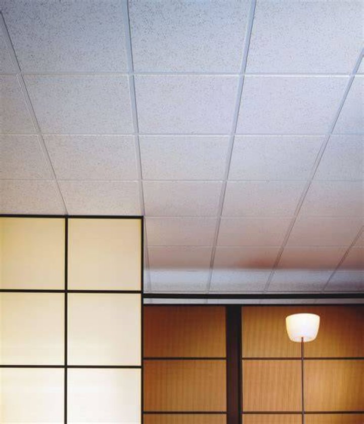 What are acoustical ceiling tiles made of