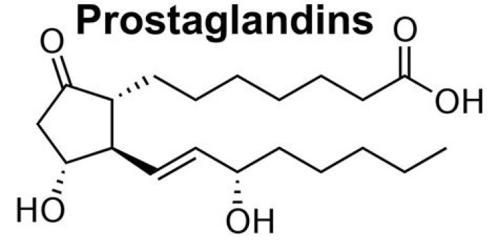 What are prostaglandins and what is their function