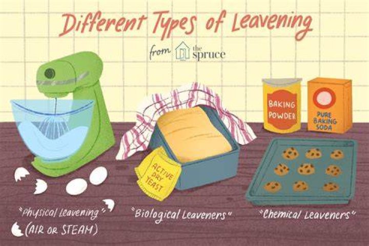 What are the four types of leavening gases