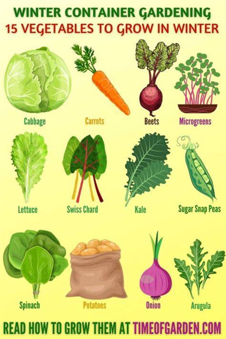 What can you plant in winter spring harvest