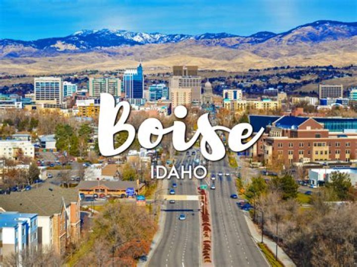What does Boise Cascade do