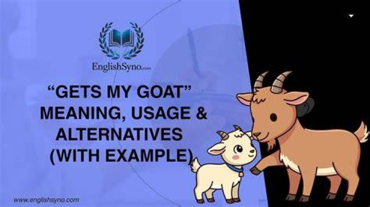 What does Buddys friend say gets her goat