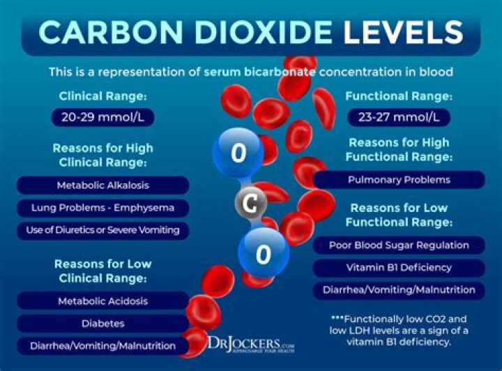 What does low co2 mean in a blood test
