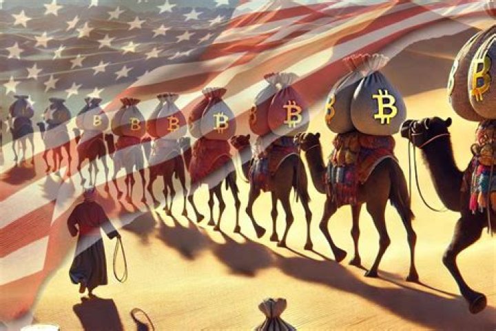 What happened to the Bitcoins seized from Silk Road