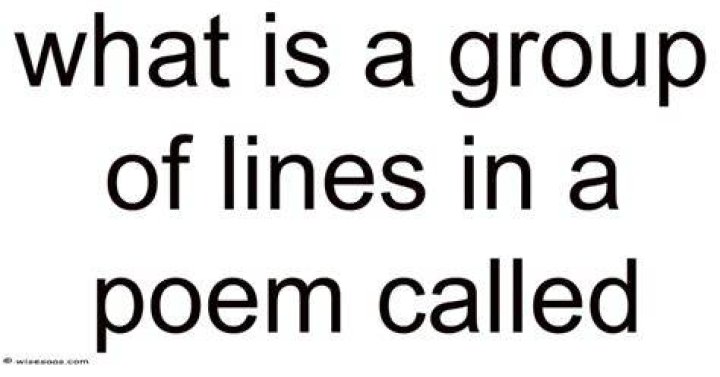 What is a group of two or more lines that form a unit in a poem