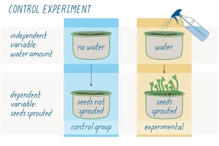 What is an example of controlled experiment