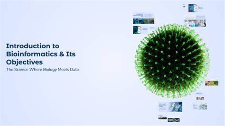 What is bioinformatics and its objectives