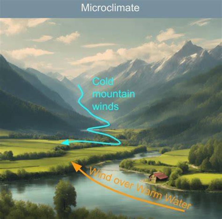 What is climate and microclimate