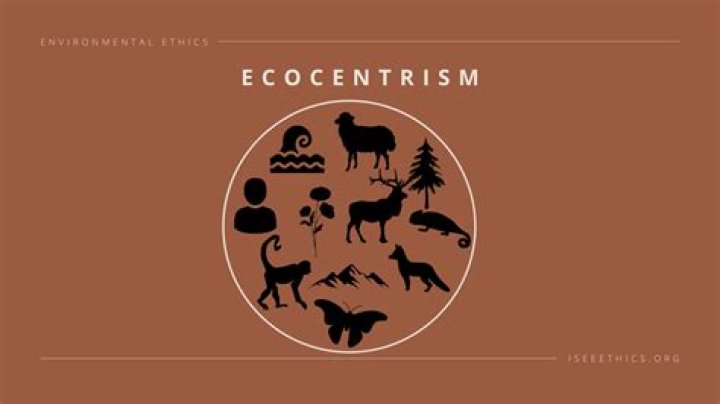 What is Ecocentrism in environmental ethics