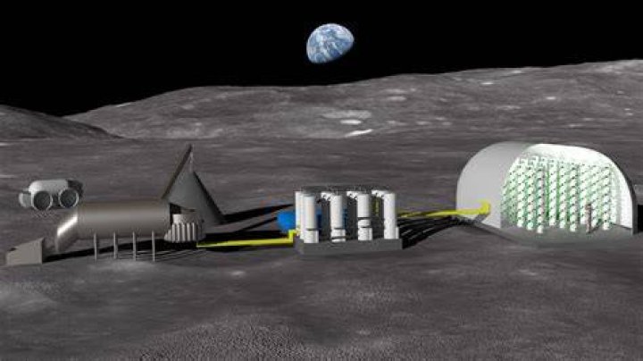 What is growing on the moon