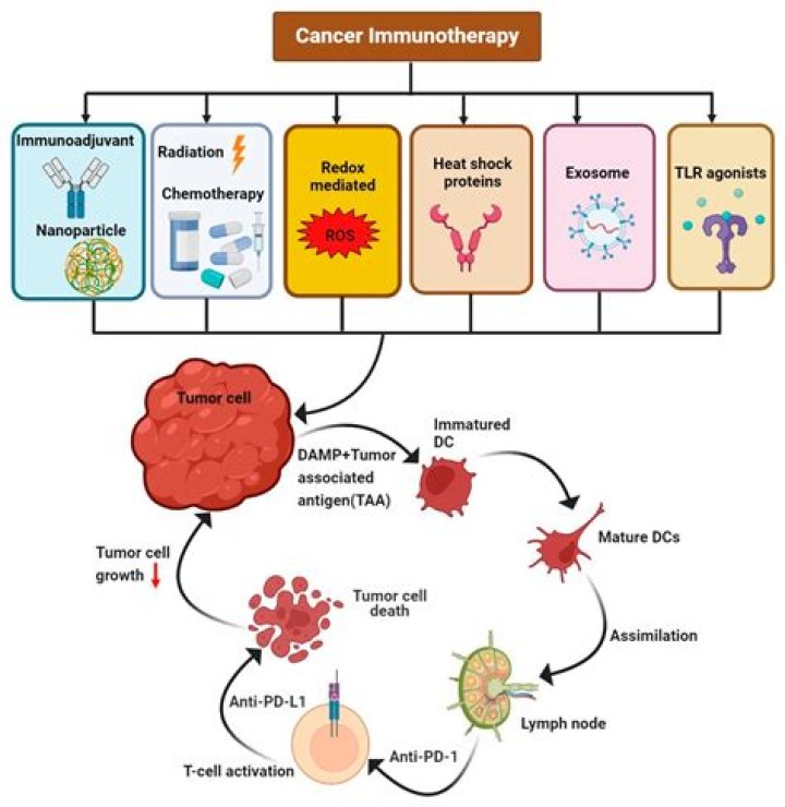 What is immunotherapy Wikipedia