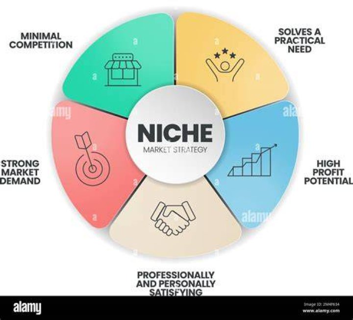What is niche market strategy