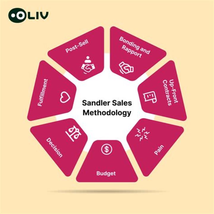 What is Sandler sales methodology
