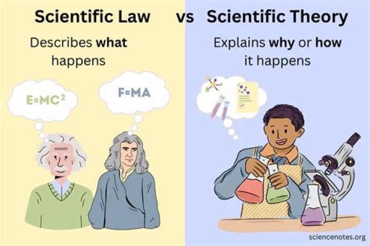 What is scientific law and theory