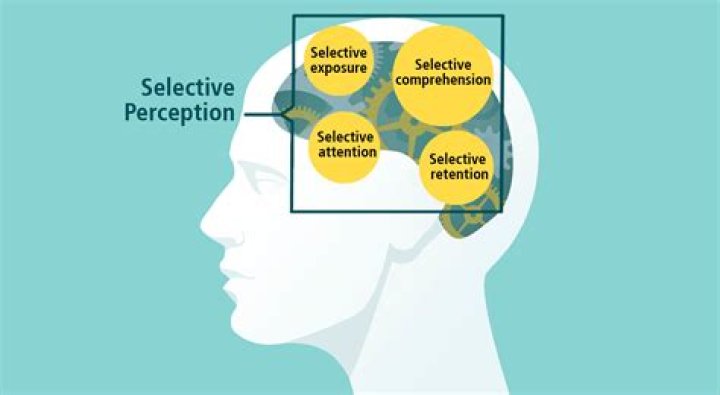 What is selective process theory