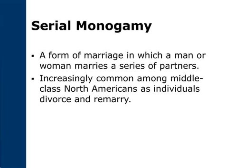 What is serial monogamy in sociology