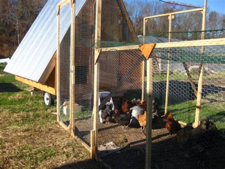 What is small scale poultry farming
