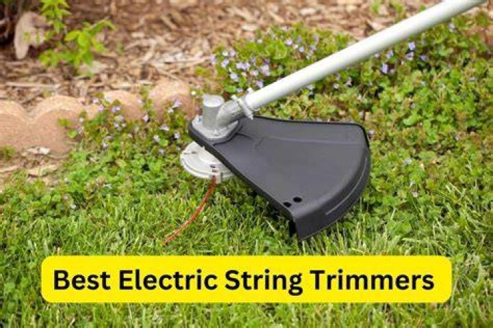 What is the best electric grass trimmer