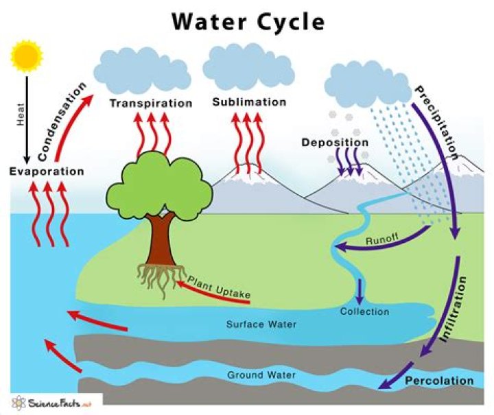 What is the definition of cycle in science