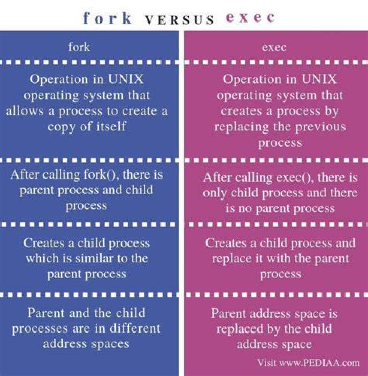 What is the difference between fork () and exec () on Unix