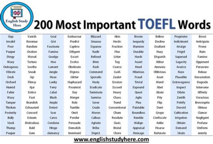 What is Toefl Vocabulary