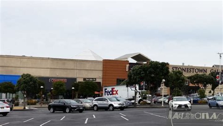 What stores are in Stonestown