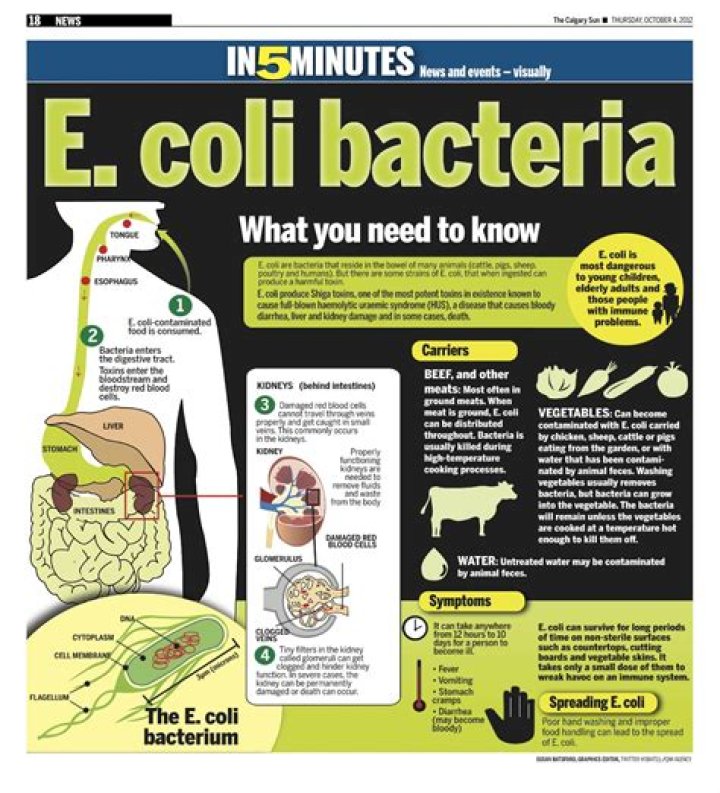 What temperature kill E. coli