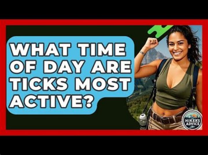What time of day are ticks most active