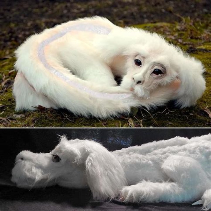 What type of dragon is falcor
