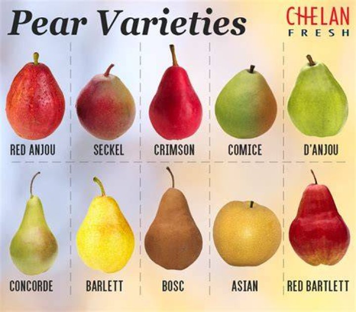 What type of fruits are pears